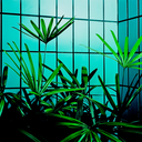 fionathefloristfrolicsinforests avatar