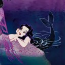 fiorenocturne avatar