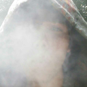 fire-and-freedom-667 avatar