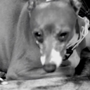 fire-breathing-misfit avatar