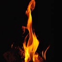 fireandwaterfowl avatar