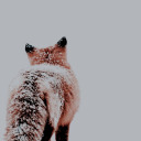 firebirdandfirefox avatar