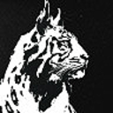 firebreakorder avatar