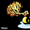 firebreathingduck avatar