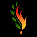 firefern6 avatar