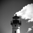 fireflies-and-epiphanies avatar