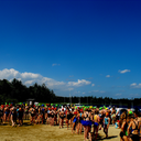 firefliesflash avatar