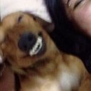 fireflysongbirdperson avatar