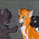 firegreyravenpaw avatar