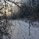 firekeepersdaughter avatar