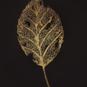 fireplace-ashes13 avatar