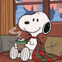 firesidefairy avatar