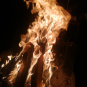 firestormdancer avatar