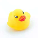 firmlycunningknight avatar