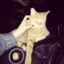 firstaidforscars avatar