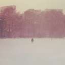 firstklassriot avatar