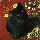 firstmoletolandthemoon avatar