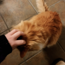 firstwordmoon avatar