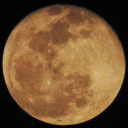 fish-bl0op-blo0p avatar