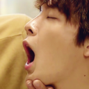 fishandanchovy avatar