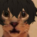 fishbishsstuff avatar