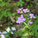 fishbowlthoughts avatar