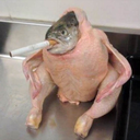 fishchickencigarette avatar