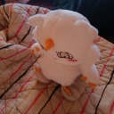 fishedeyelenz avatar