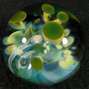 fishfartphenomenon avatar