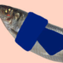 fishfingersandscarves avatar