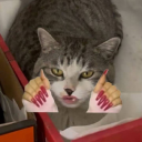 fishfishbigking avatar