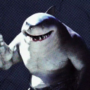 fishfriendlyshark avatar