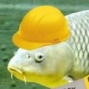 fishing-for-fishies avatar