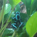 fishingblind94 avatar