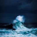 fishintheskies avatar