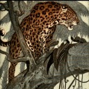 fishlikestuff avatar