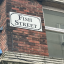 fishmiester486k avatar