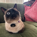 fishmooneyslefteye avatar