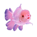 fishprince avatar