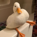 fishstickfeind avatar