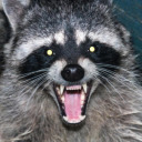 fishsticks203 avatar