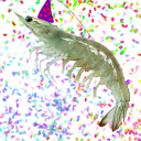 fishwitthouteyes avatar