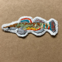 fishy-stitching avatar