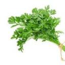 fistfuls-of-cilantro avatar