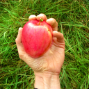 fit-fabstroid-blog avatar