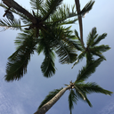 fitandhealthys avatar