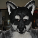 fitnessfoxandfurry1976 avatar