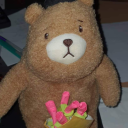 fitz-ginsberg avatar