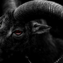 five-past-five avatar