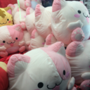 fivemeters-blog avatar